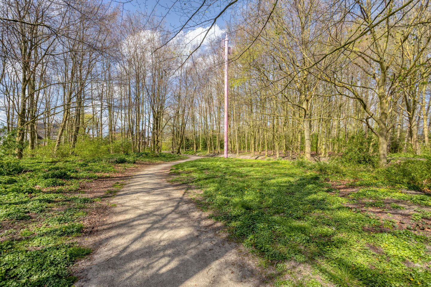 Foto 35 van Robert Stolzhof 199