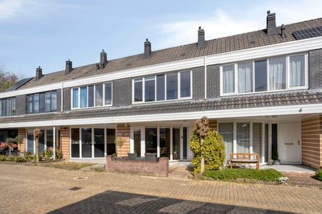 Robert Stolzhof thumbnail