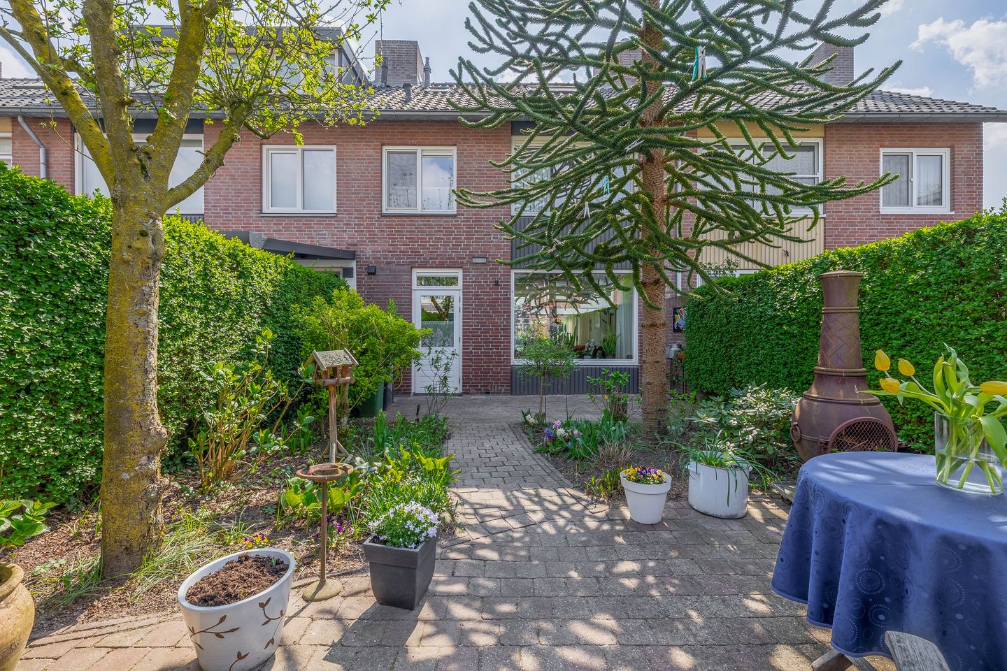 Foto 4 van Niobepad 3