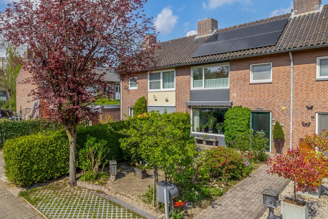 Foto 1 van Niobepad 3