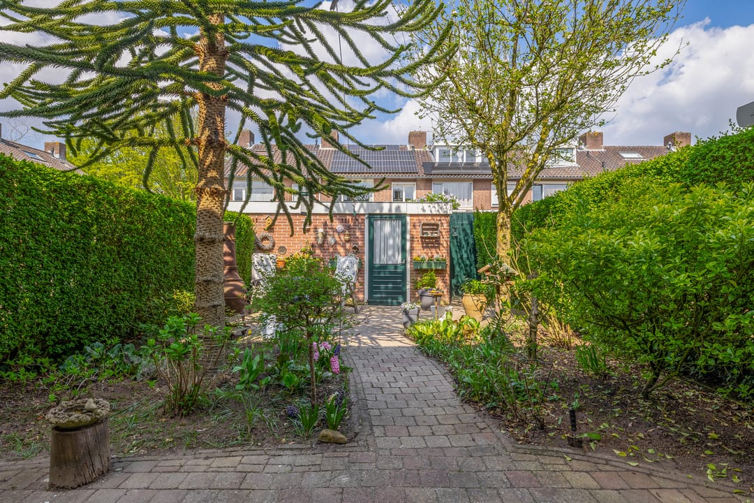 Foto 32 van Niobepad 3