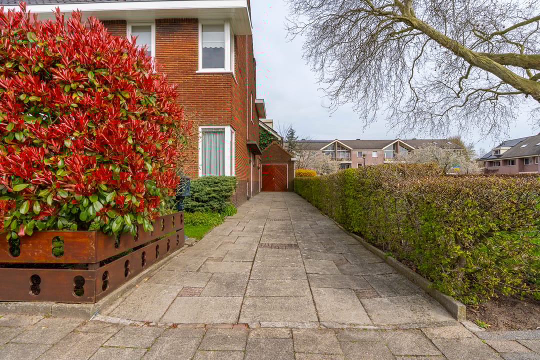 Foto 7 van Linnaeuslaan 8