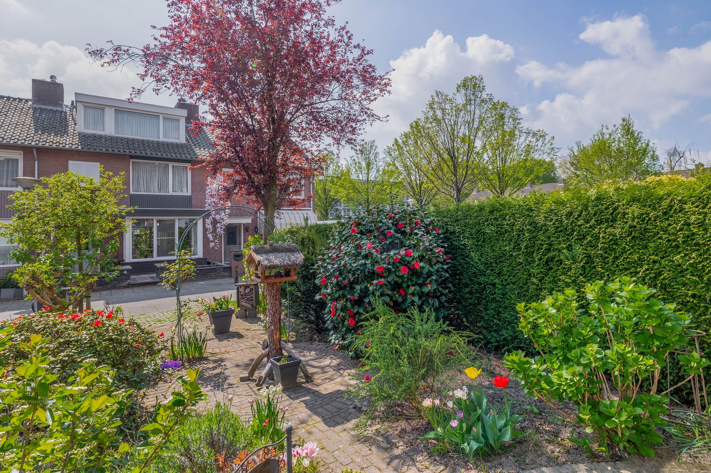 Foto 44 van Niobepad 3