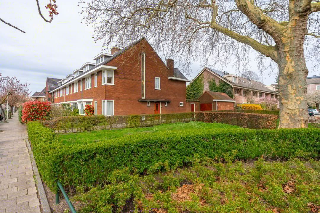 Foto 52 van Linnaeuslaan 8