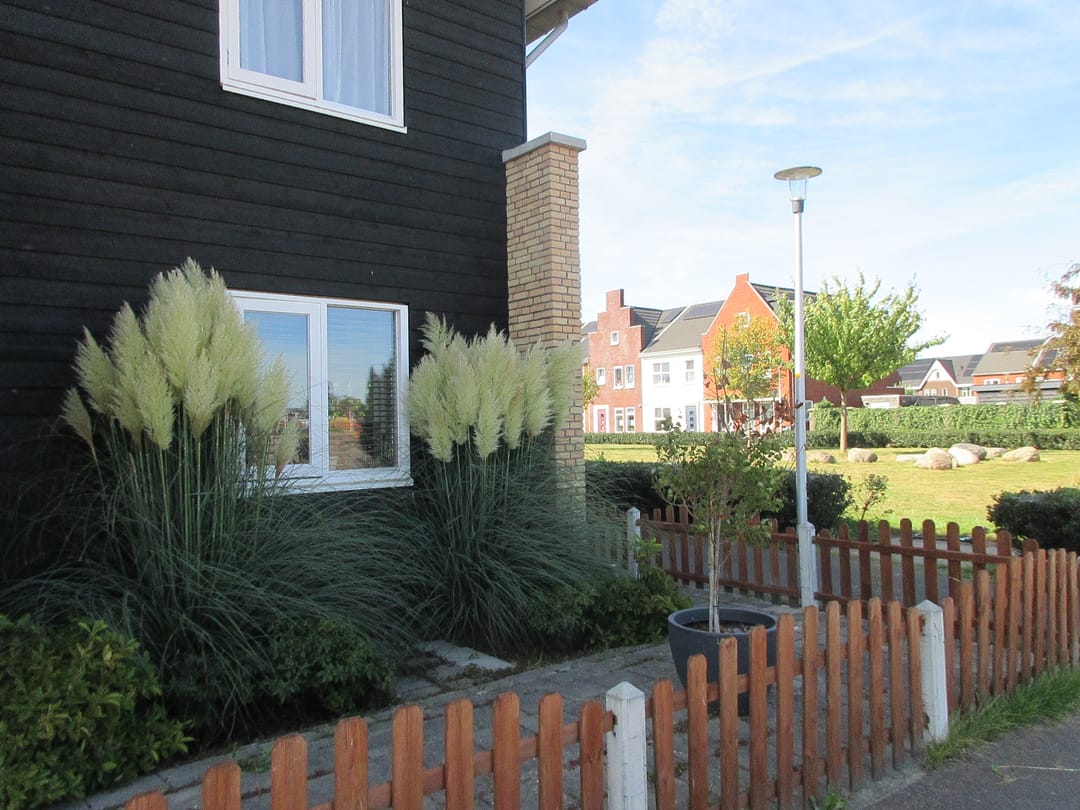 Foto 31 van Bovist 20