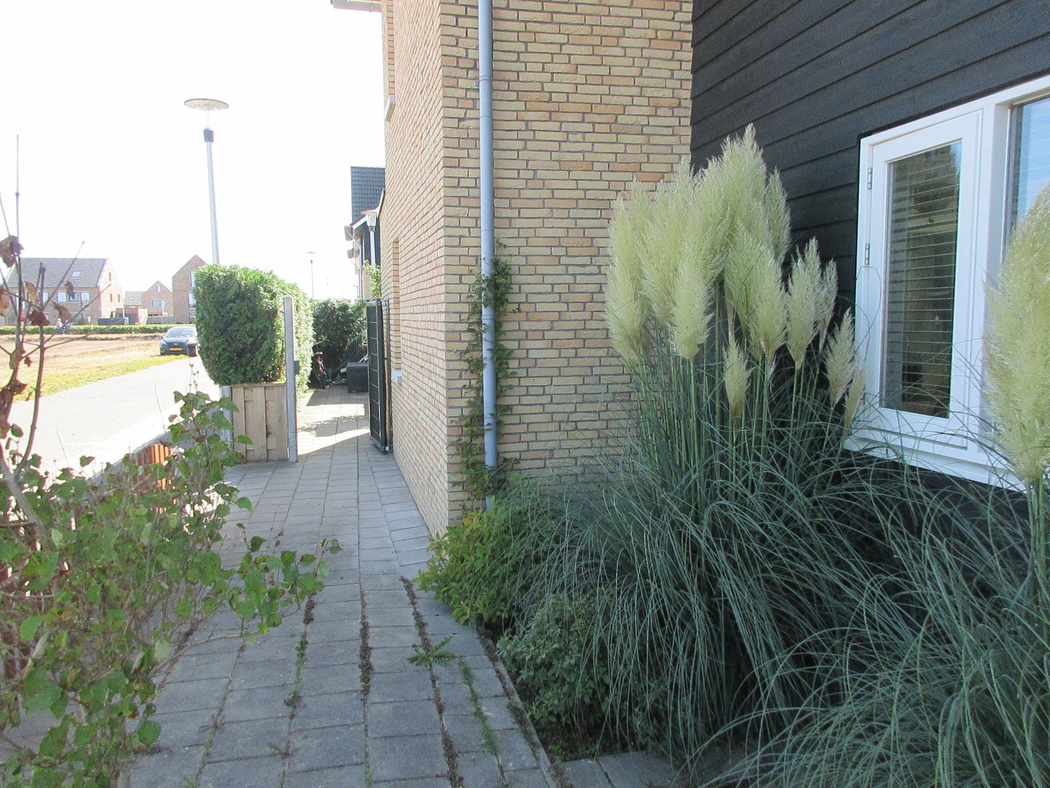 Foto 30 van Bovist 20