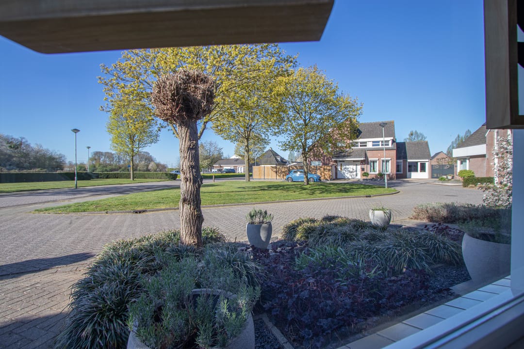 Photo 11 of Oranjelaan 2