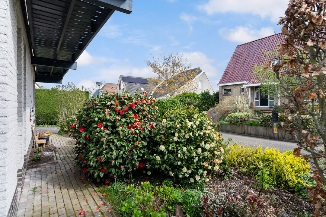 Foto 38 van De Skûte 3