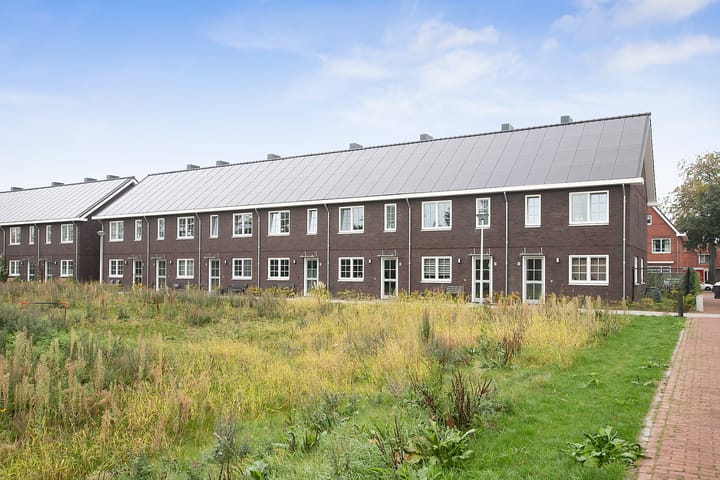 Photo 2 of Lampenist 14