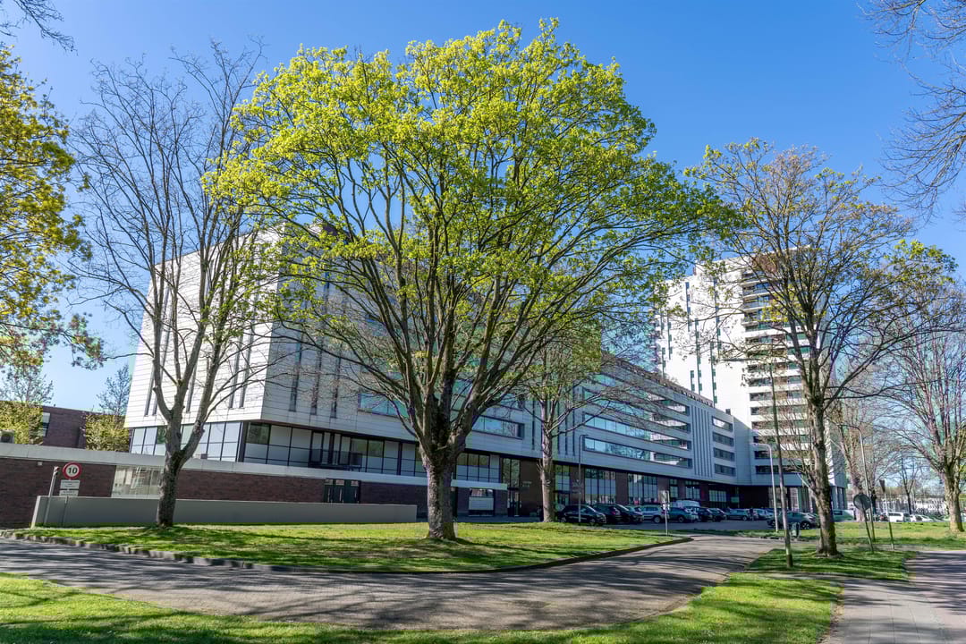 Foto 41 van Ringbaan-Zuid 240