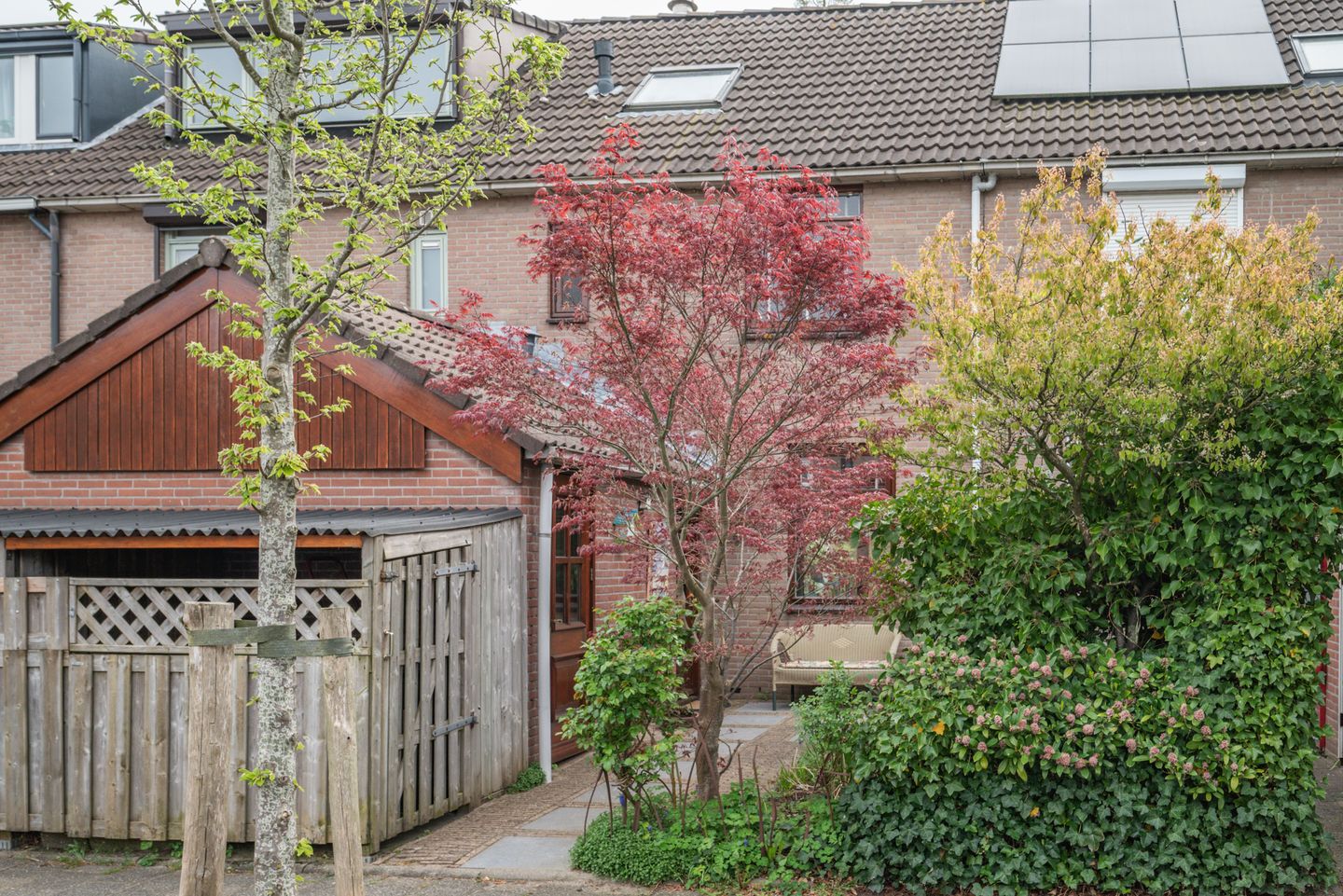 Photo 5 of Beukenlaan 89