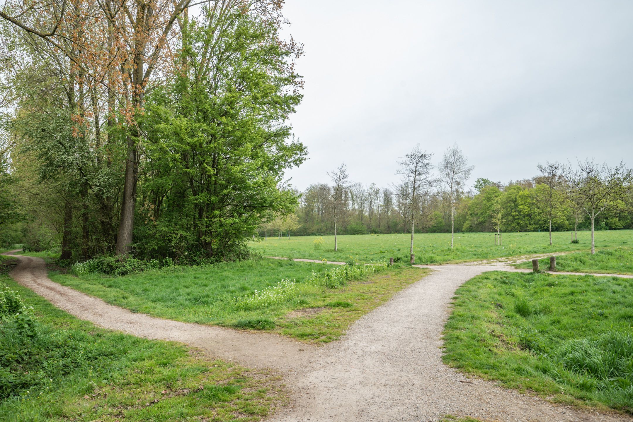 Photo 42 of Beukenlaan 89