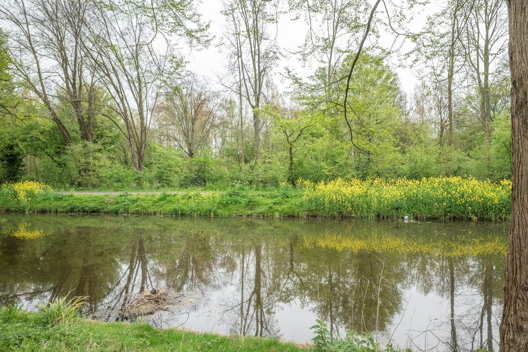 Photo 41 of Beukenlaan 89