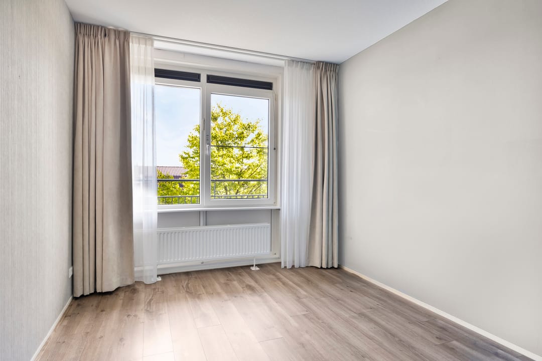 Photo 13 of Zalm 204