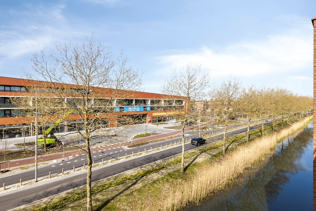 Photo 22 of Zalm 204