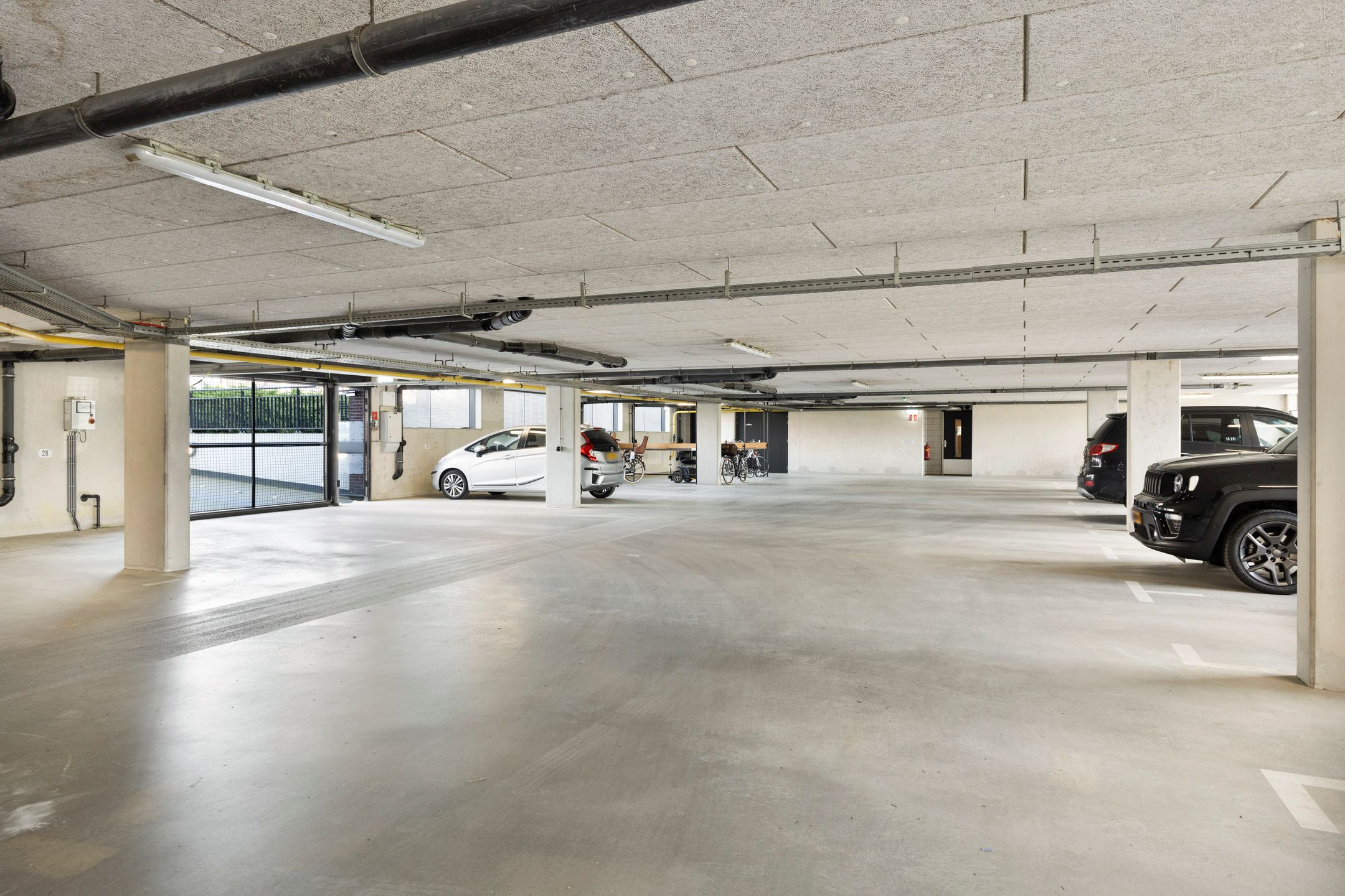 Photo 21 of Zalm 204