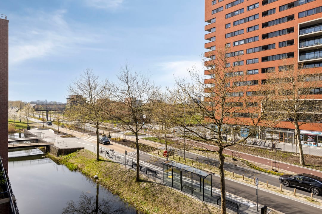 Photo 23 of Zalm 204