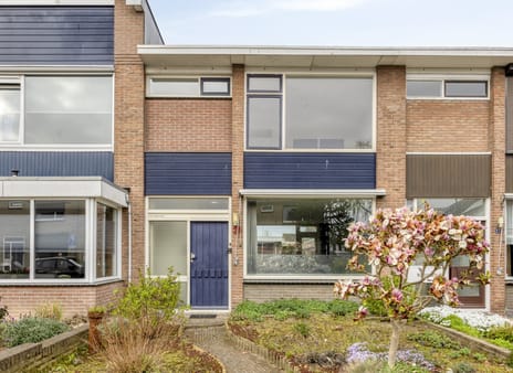 Gladiolenstraat thumbnail