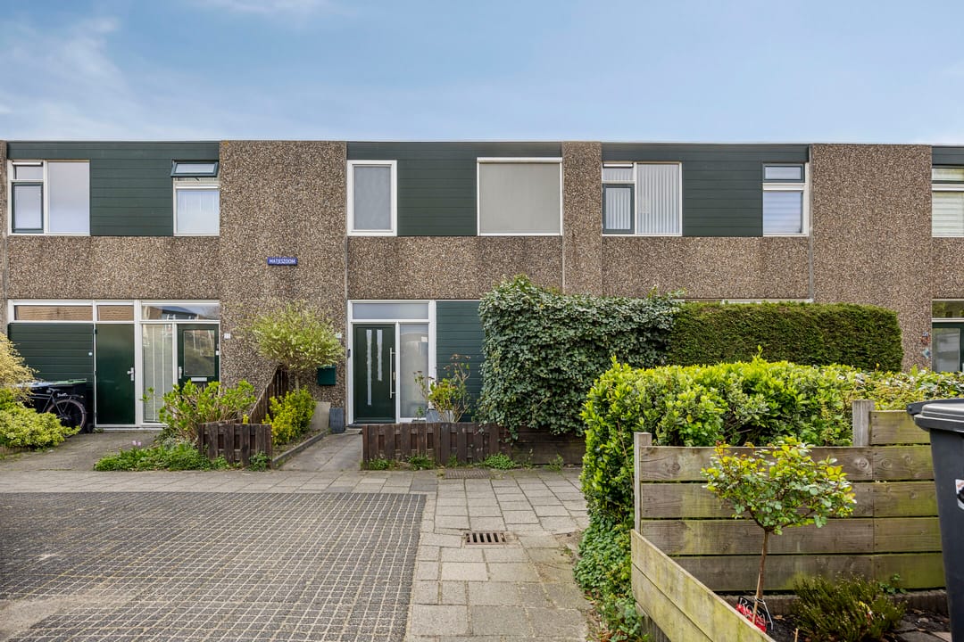 Foto 2 van Matjeszoom 25