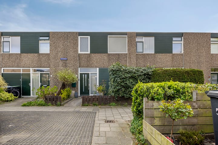 Foto 2 van Matjeszoom 25