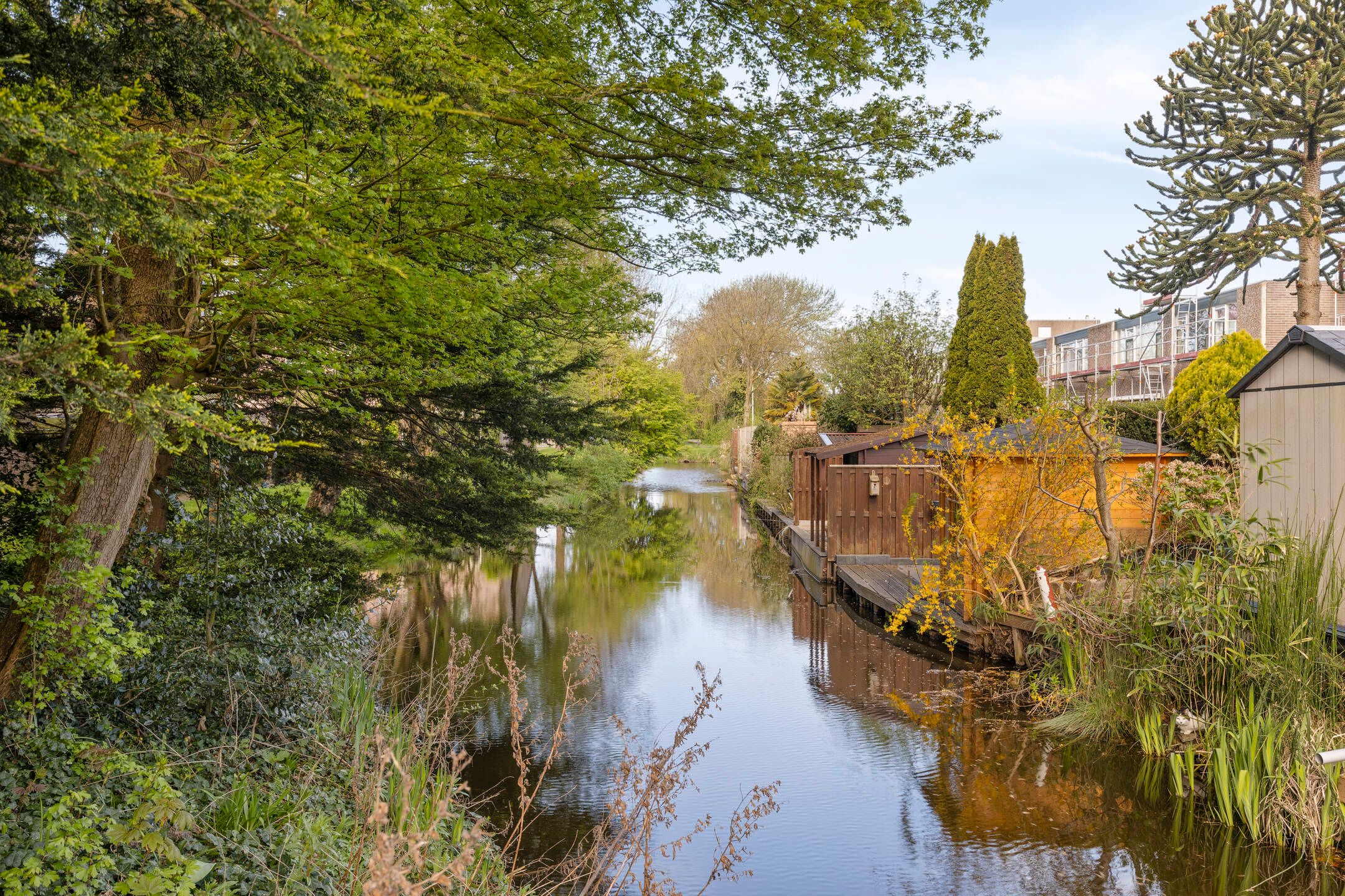 Foto 39 van Matjeszoom 25