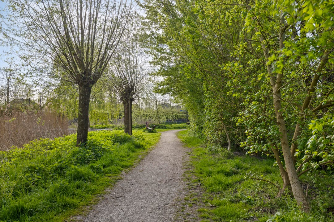 Foto 41 van Matjeszoom 25