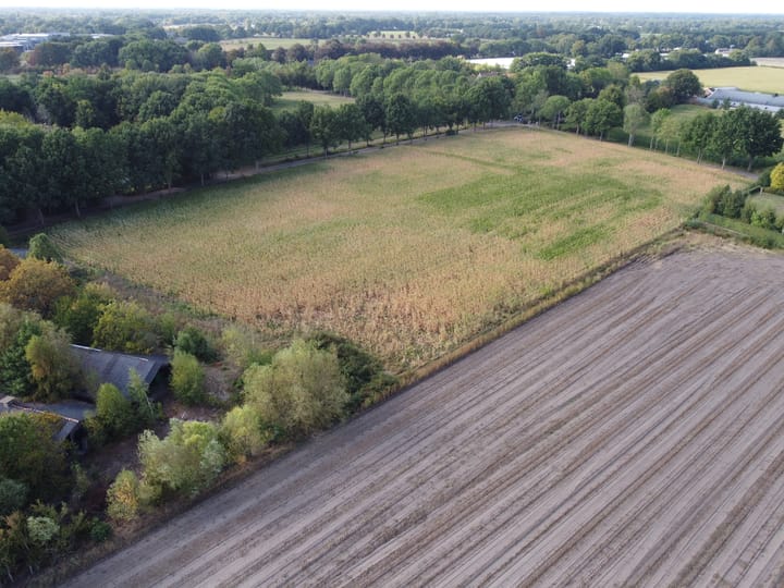 Foto 5 van Berg- en Dalseweg 4