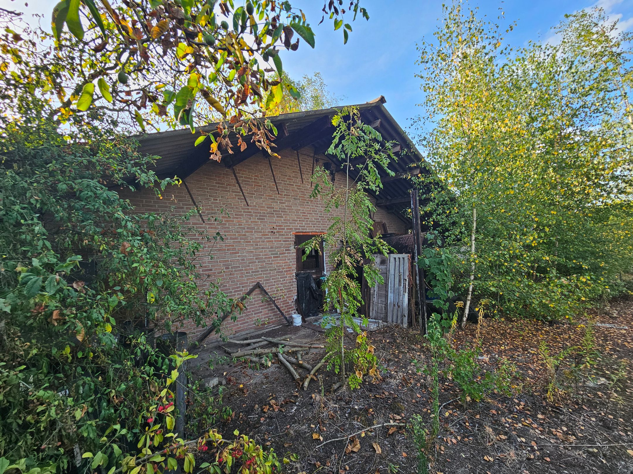 Photo 12 of Berg- en Dalseweg 4