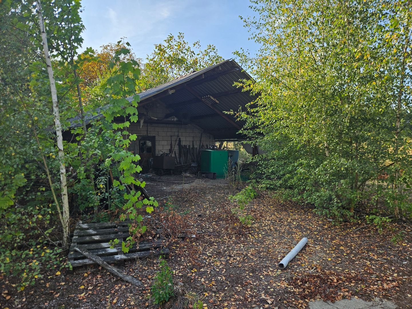 Photo 14 of Berg- en Dalseweg 4