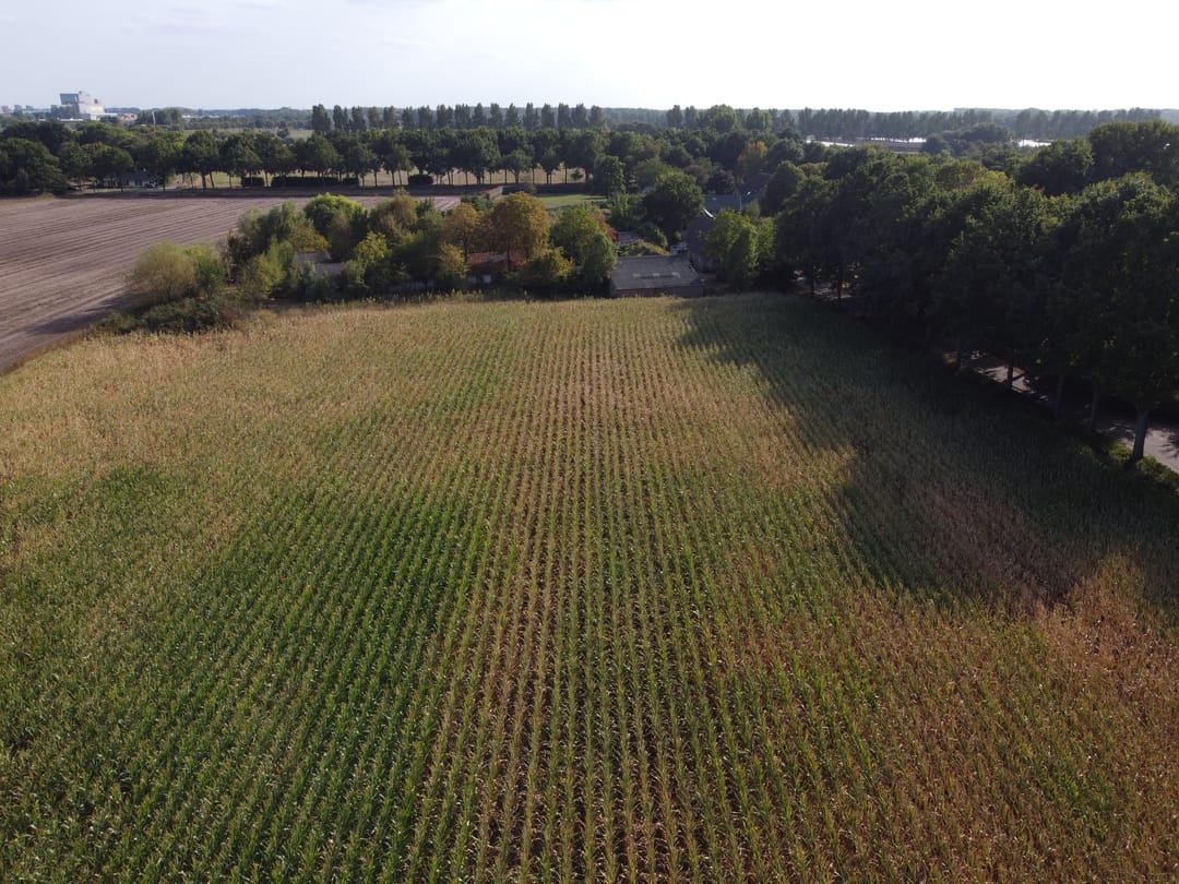 Photo 2 of Berg- en Dalseweg 4