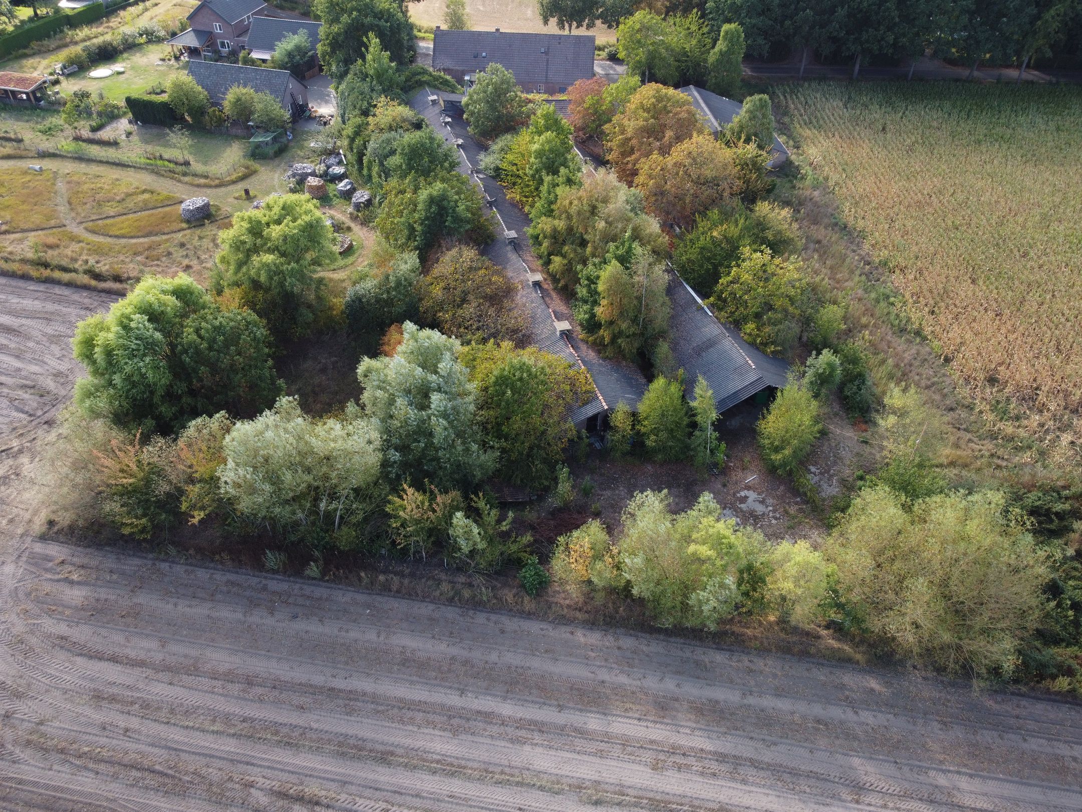 Photo 21 of Berg- en Dalseweg 4