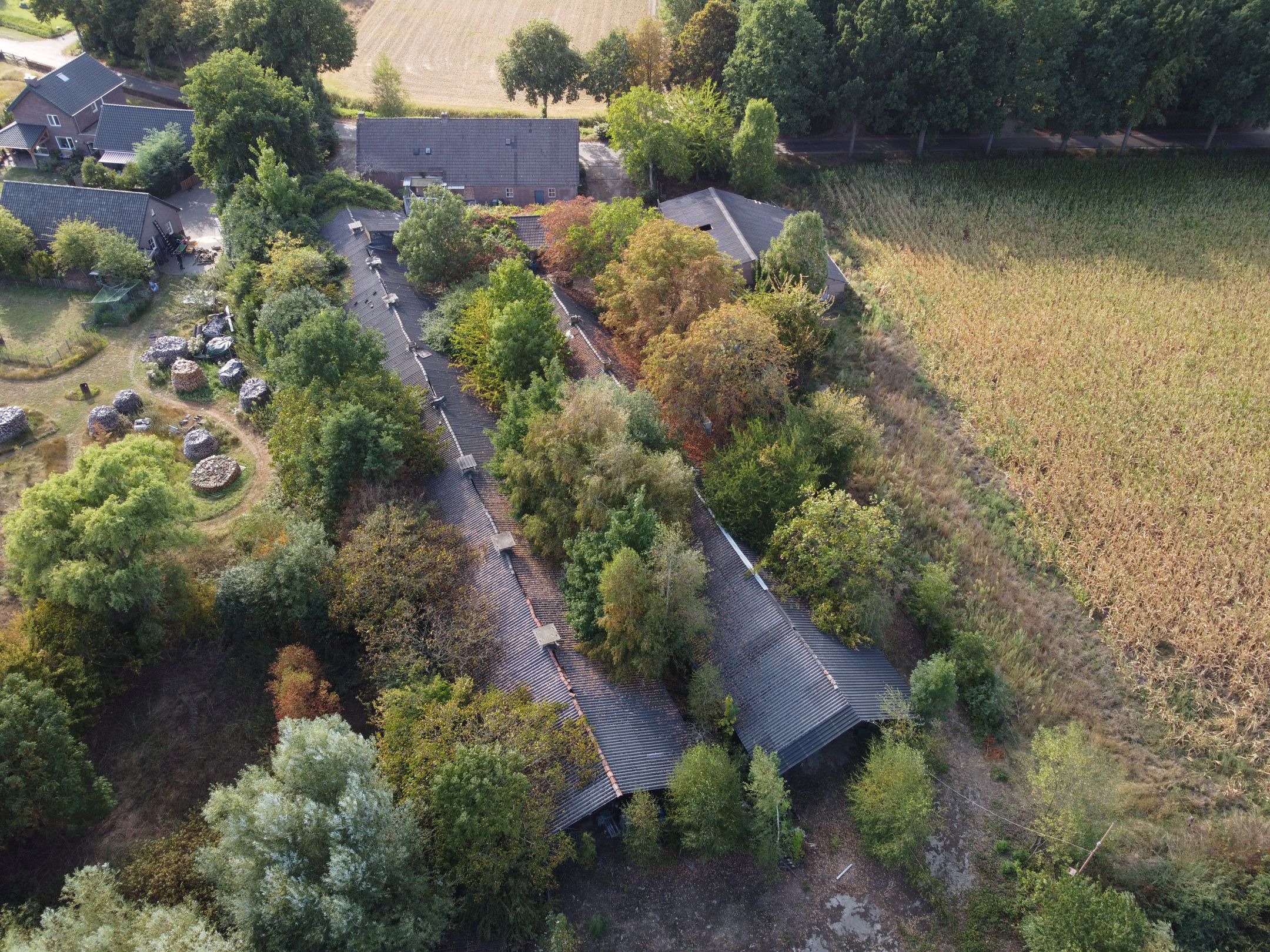 Photo 18 of Berg- en Dalseweg 4