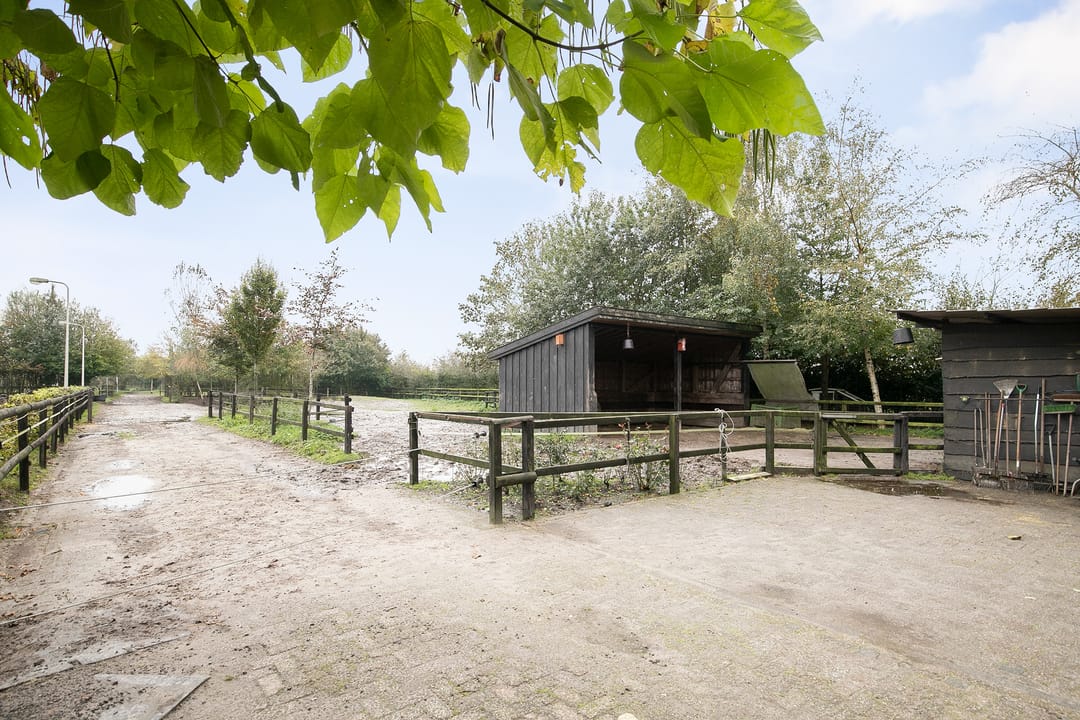 Foto 17 van Wollinghuizerweg 50