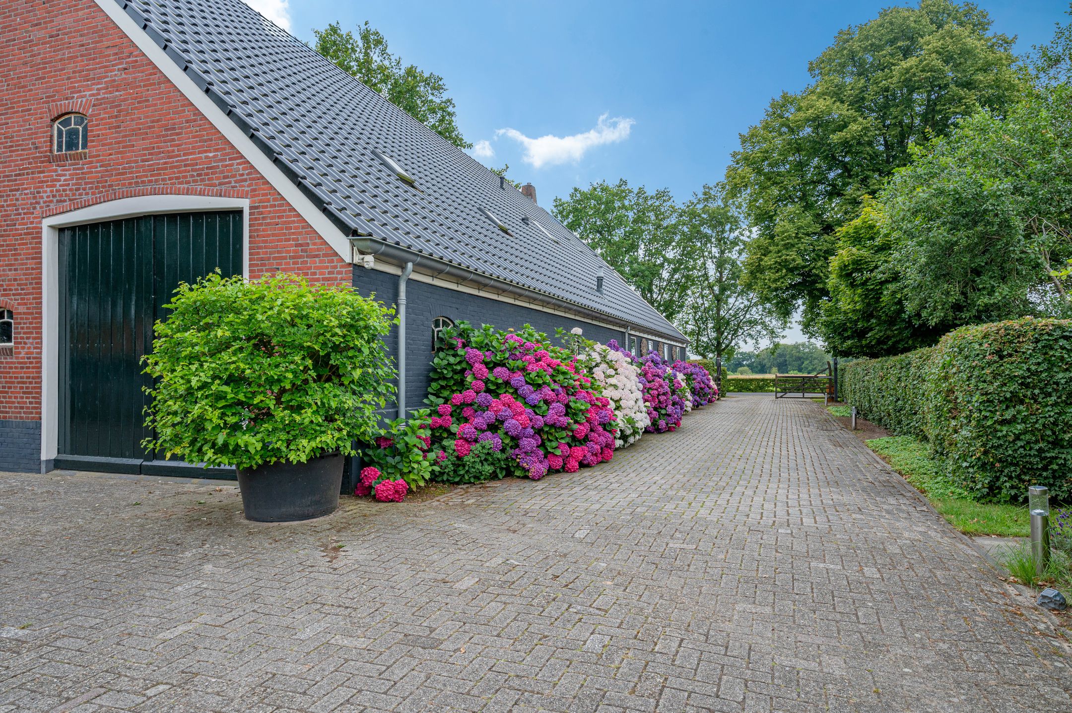 Foto 21 van Wollinghuizerweg 50