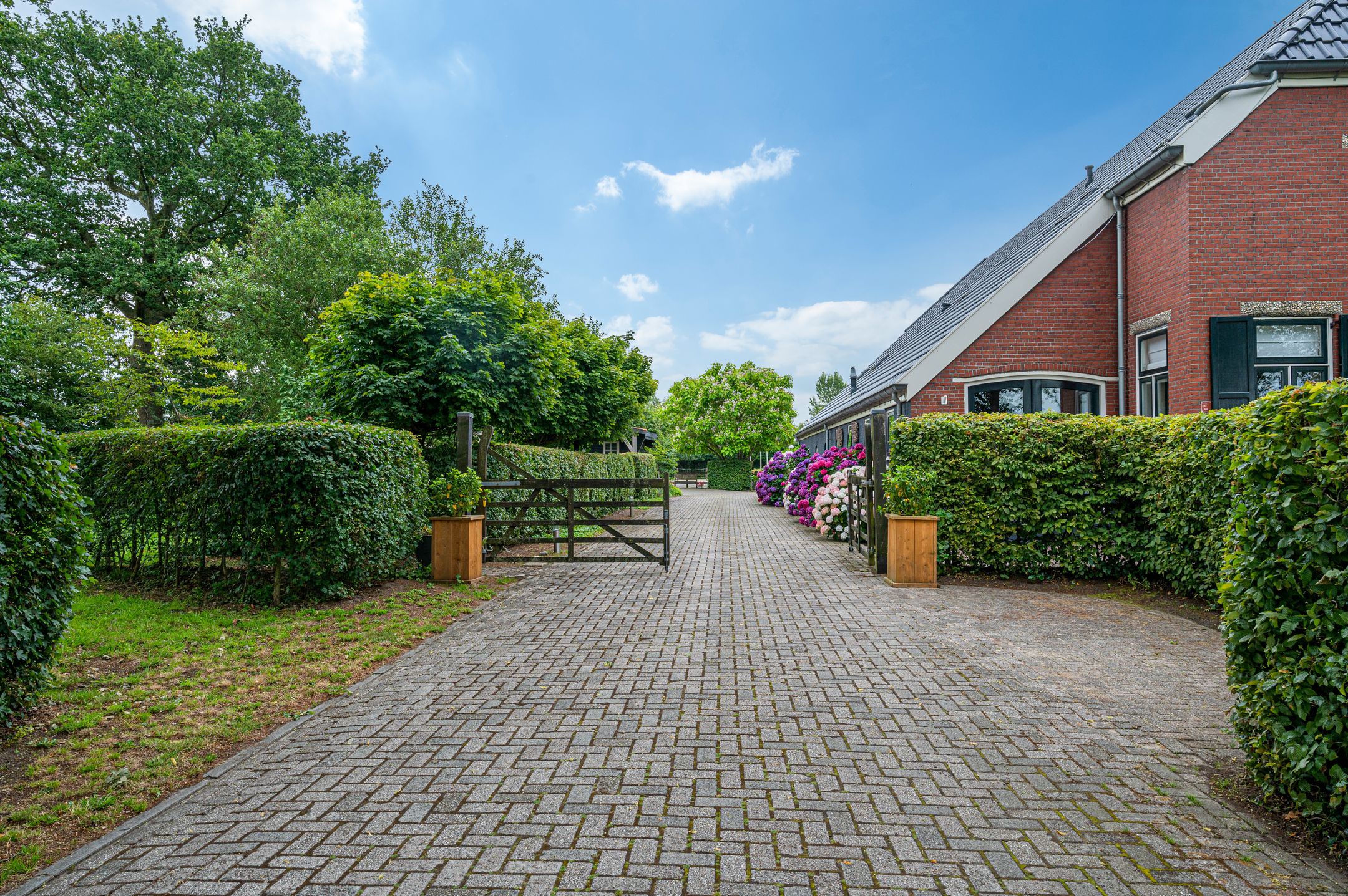 Foto 15 van Wollinghuizerweg 50