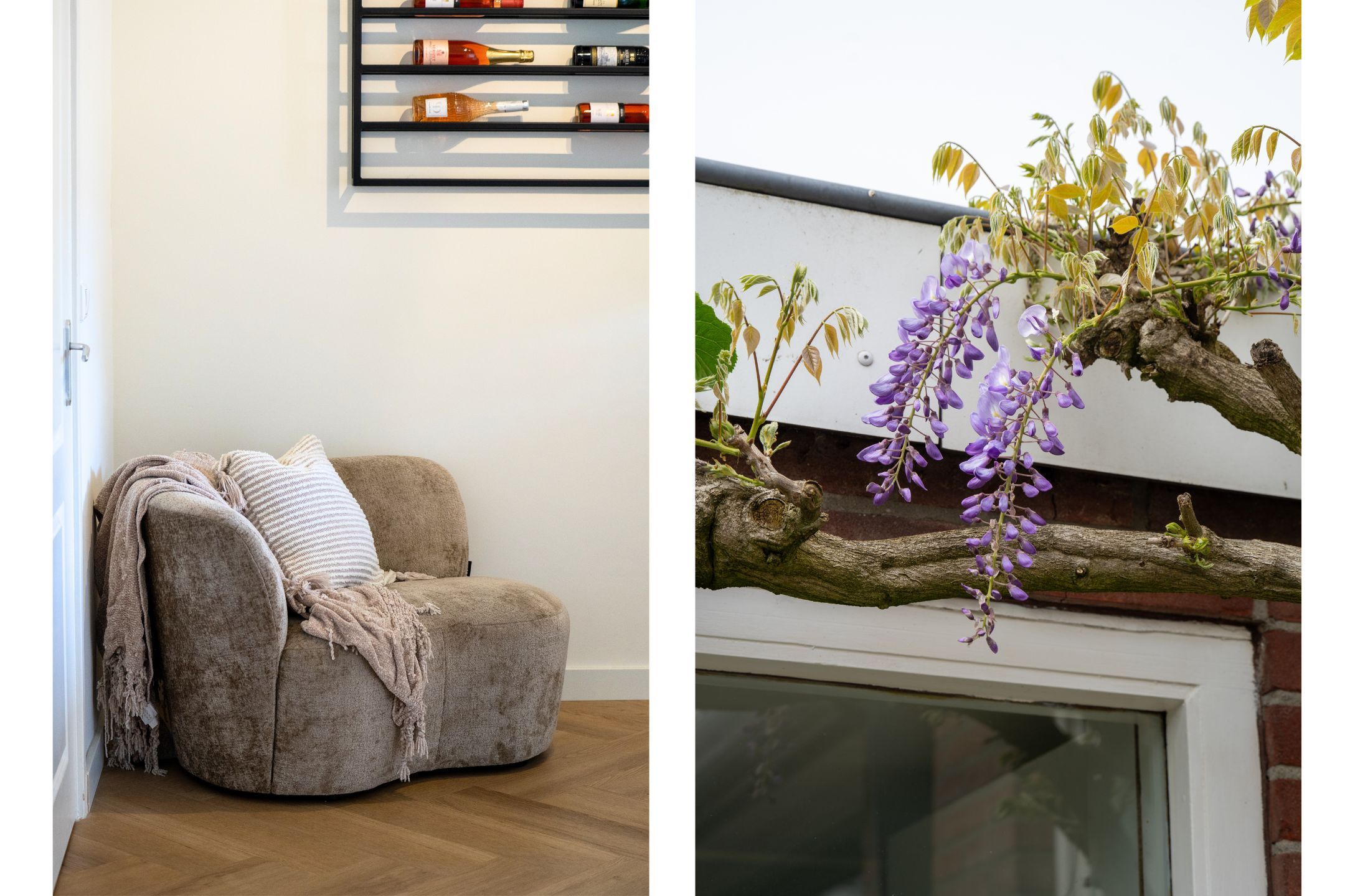 Foto 15 van Steenbergen 14