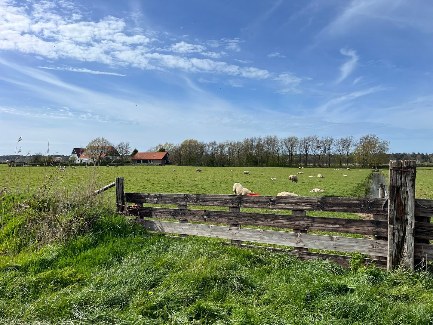 Perceel cultuurgrond aan de Westerweg - Den Hoorn (NH) - Afbeelding 2