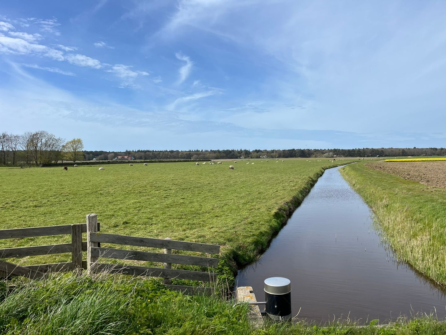 Perceel cultuurgrond aan de Westerweg - Den Hoorn (NH) - Afbeelding 4
