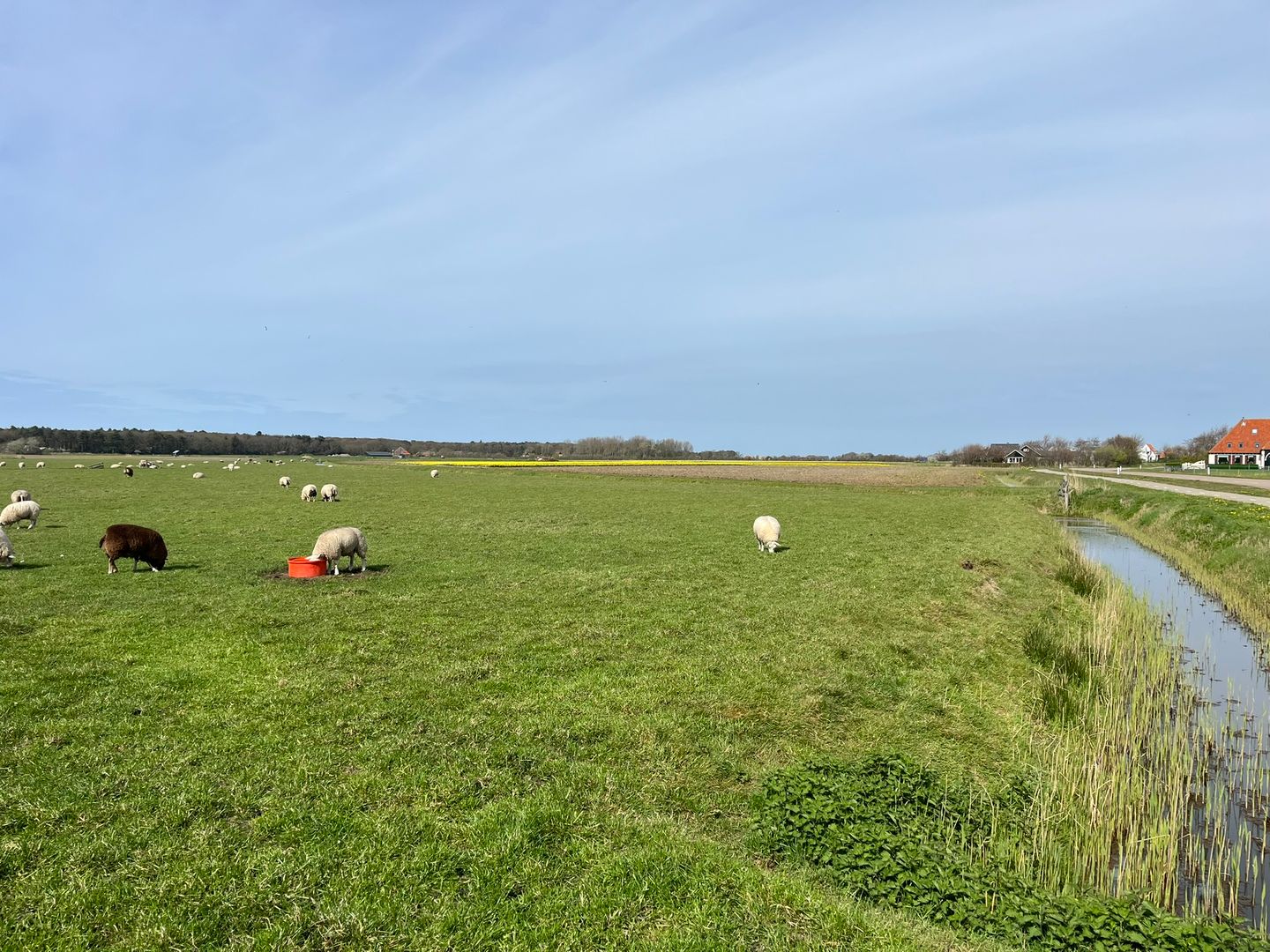 Perceel cultuurgrond aan de Westerweg - Den Hoorn (NH) - Afbeelding 6