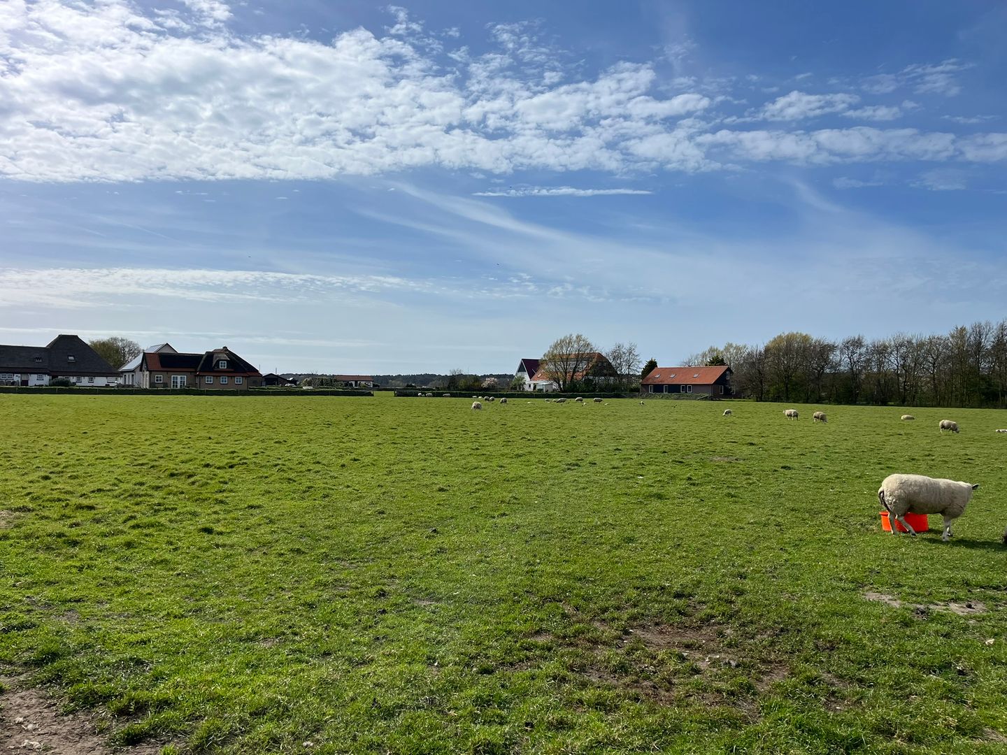 Perceel cultuurgrond aan de Westerweg - Den Hoorn (NH) - Afbeelding 3