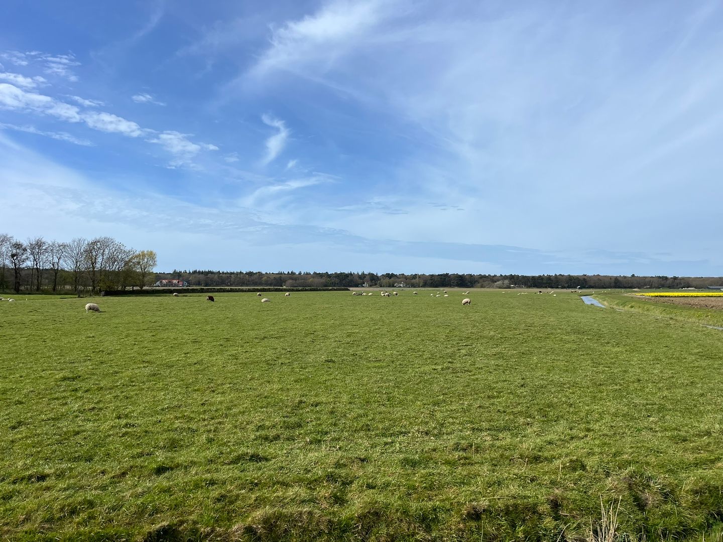 Perceel cultuurgrond aan de Westerweg - Den Hoorn (NH) - Afbeelding 5