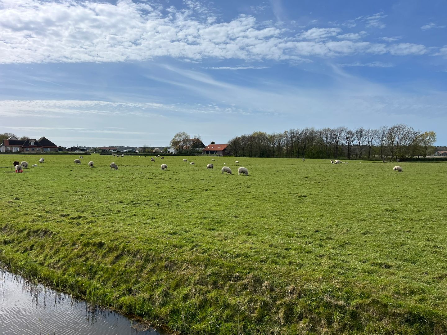 Perceel cultuurgrond aan de Westerweg - Den Hoorn (NH) - Afbeelding 7