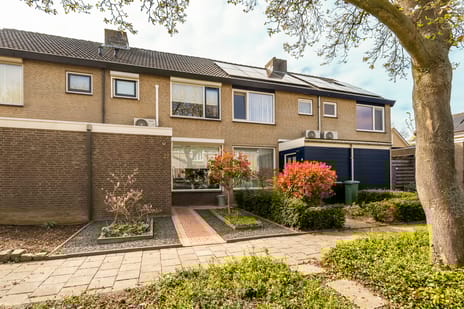 Magnolialaan thumbnail