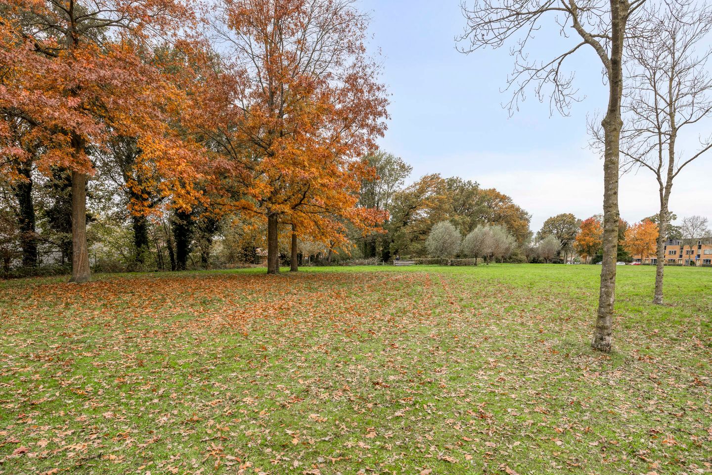 Foto 34 van Margaretha Roosenboomlaan 53