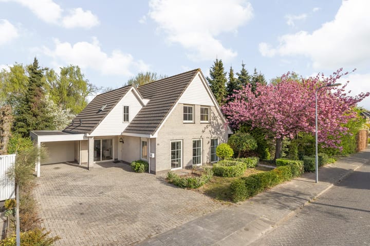 Waterviolier 21 main image