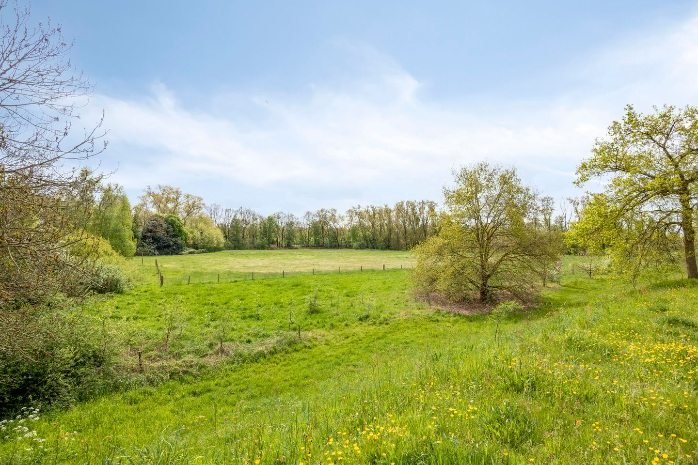 Photo 35 of Negende Reit 64