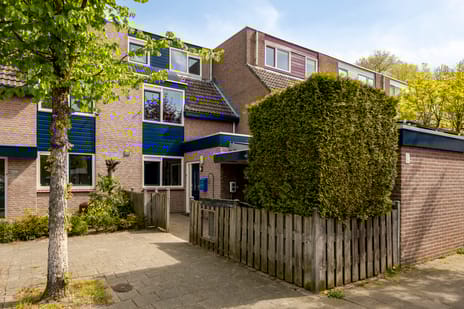 Negende Reit thumbnail