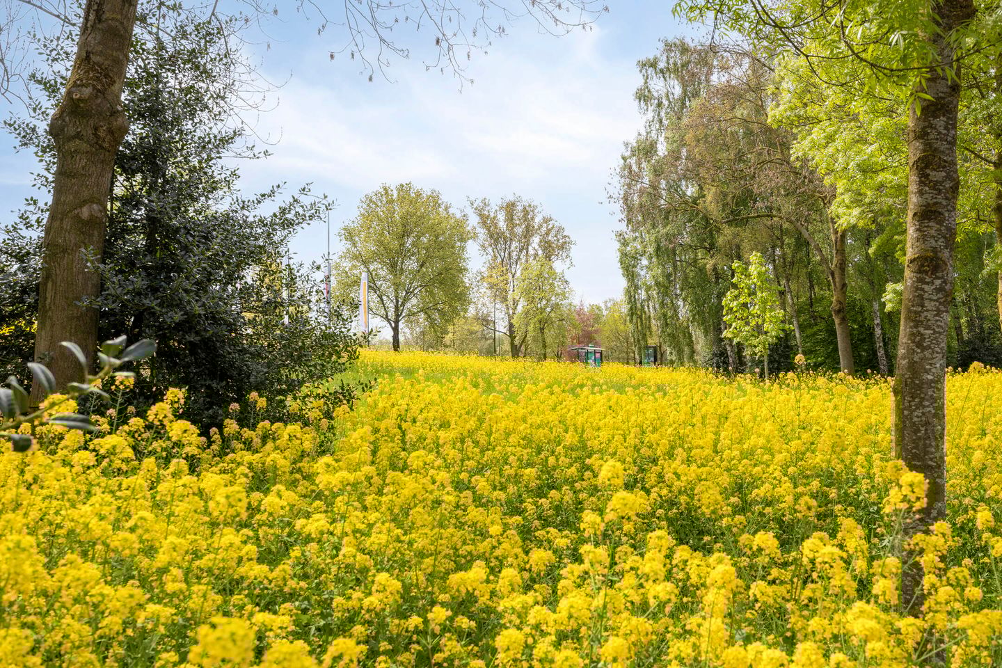 Photo 34 of Negende Reit 64