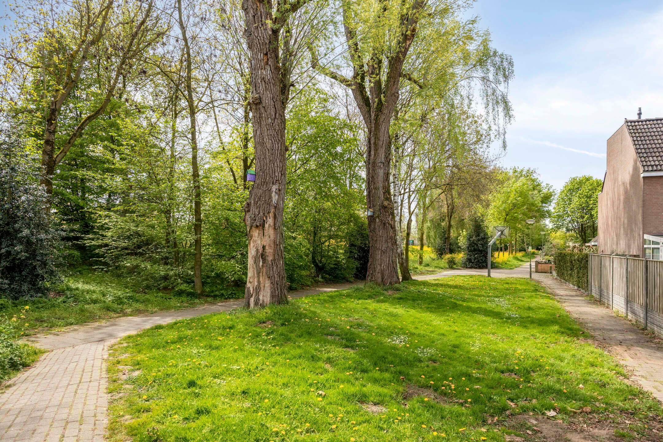 Photo 36 of Negende Reit 64