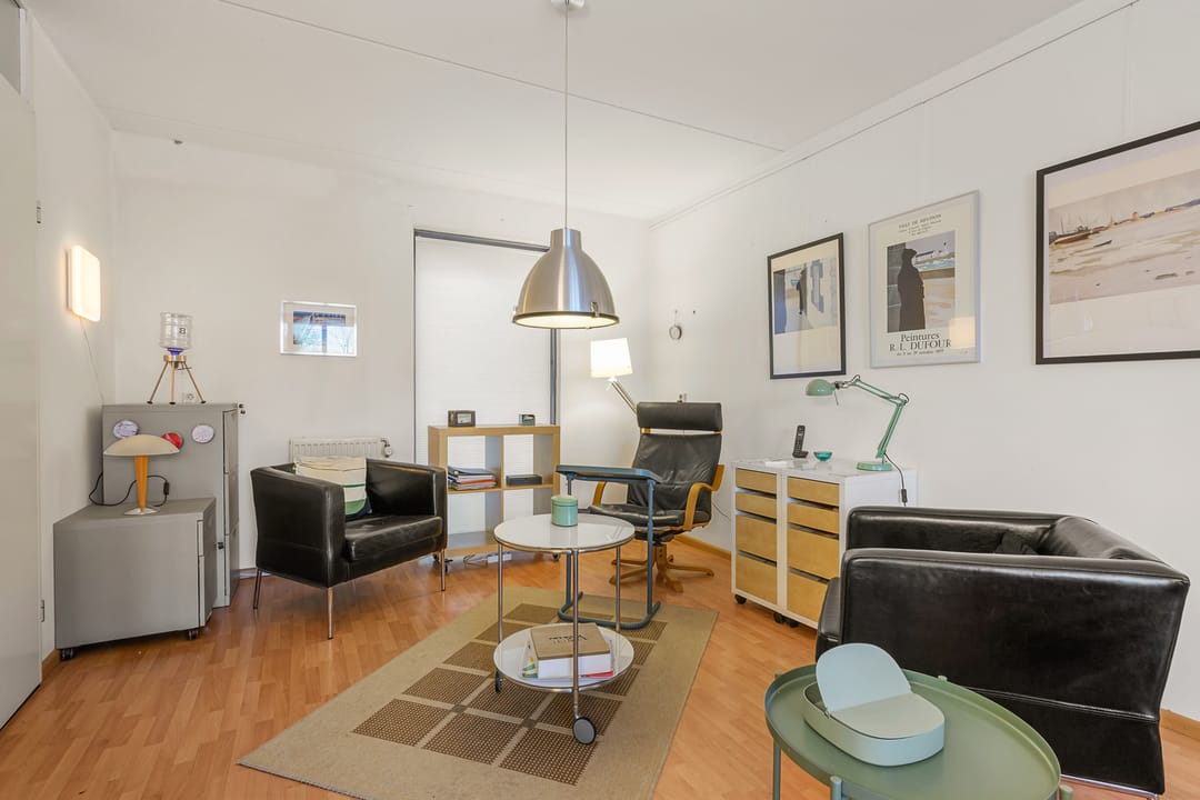 Unique Dual-Structure Home with Live-Work Potential in Zenderpark — 28